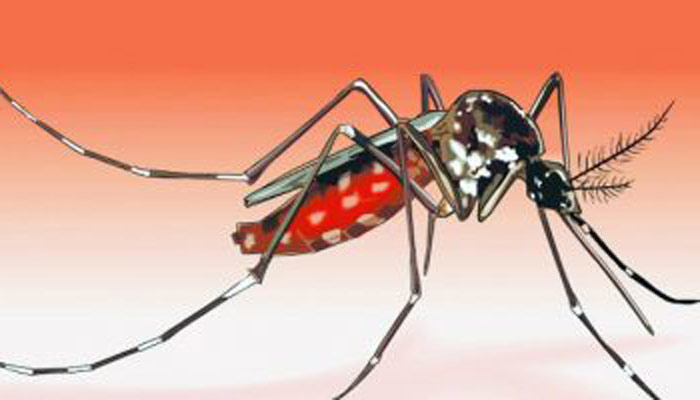 বরিশালে ডেঙ্গু আক্রান্ত গৃহবধূর মৃত্যু