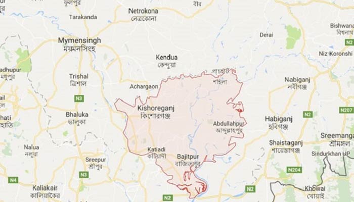 কটিয়াদীতে স্বজনবেশে নবজাতক চুরি