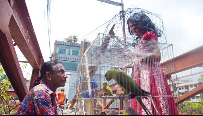 ‘টিয়ার গপ্পো’ অন্তর্জালে উন্মুক্ত