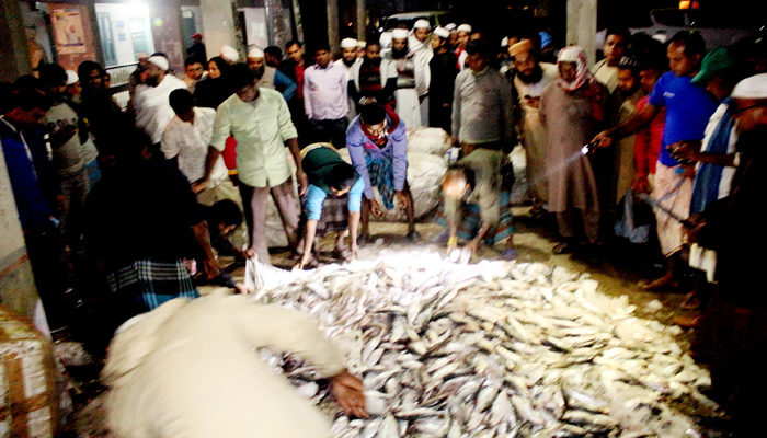 যাত্রীবাহী বাসে মিলল ৬০ মণ জাটকা