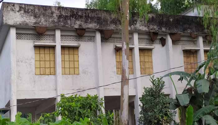 স্কুলের ছাদে ২২ মৌচাক, আতঙ্কে শিক্ষার্থীরা