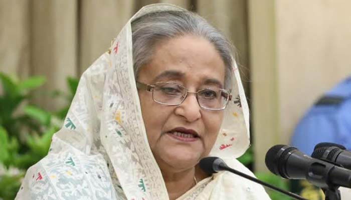 রোহিঙ্গা সঙ্কটে পরিবেশ ও সামাজিক ক্ষতি হয়েছে: শেখ হাসিনা