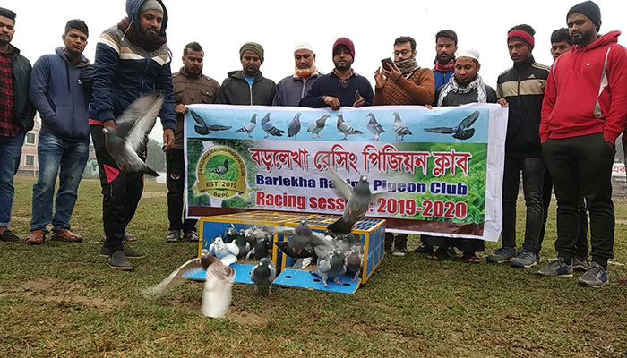 ৬৫ কিলোমিটার আকাশ পথ পেরোল কবুতরের দল