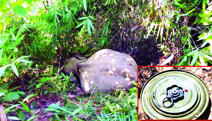 পথে পথে ভয়ংকর মাইন পুঁতেছে মিয়ানমার