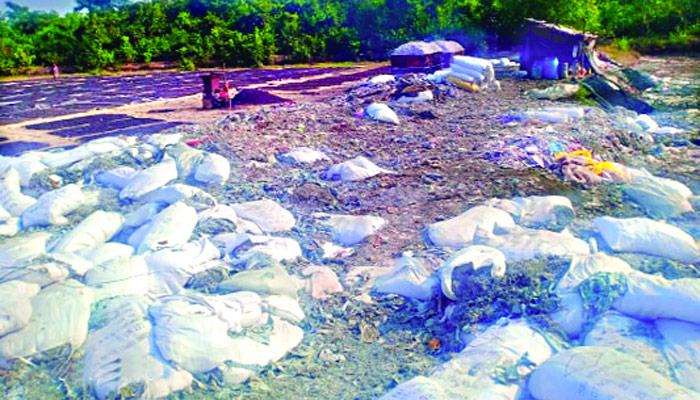 গাজীপুরে বিষাক্ত হয়ে উঠেছে গজারি বন