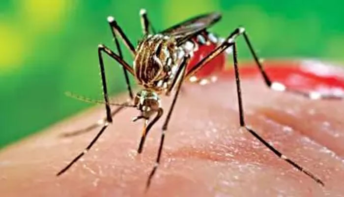 ডেঙ্গু প্রতিরোধে ব্যতিক্রম চসিক