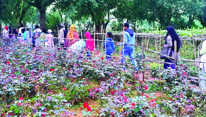পর্যটনের নতুন আকর্ষণ