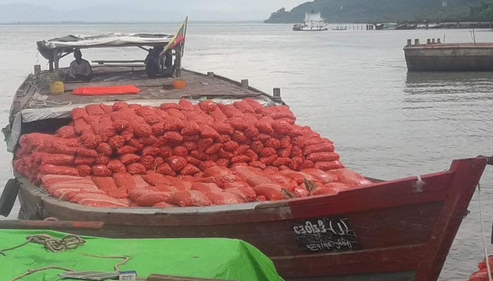 সারা দিনে টেকনাফ বন্দরে ১৩০২ টন পেঁয়াজ খালাস