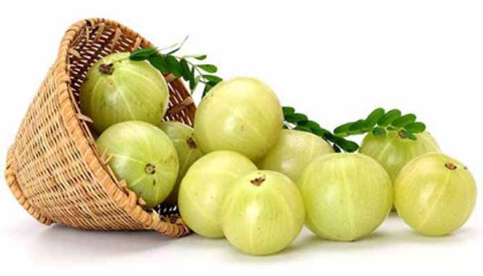 শীতে আমলকি কেন খাবেন