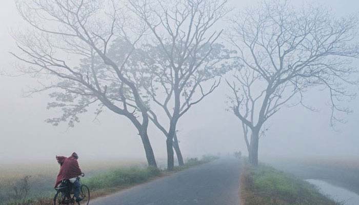 ডিসেম্বরে একাধিক শৈত্যপ্রবাহের সম্ভাবনা