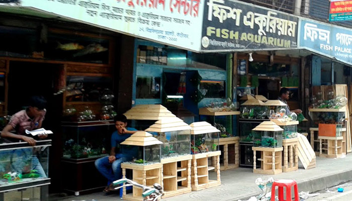 কাঁটাবন মার্কেটে আগুনে পুড়ল ১০ দোকান