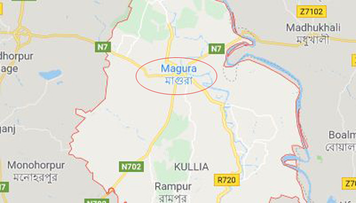 মাগুরায় সড়ক দুর্ঘটনায় ভাই নিহত, বোন আহত