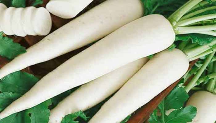 মুলার অমূল্য গুণ
