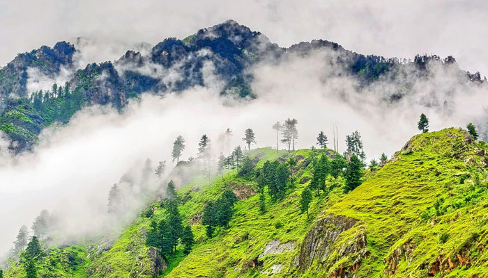 পাহাড় ঘেরা সিমলায়