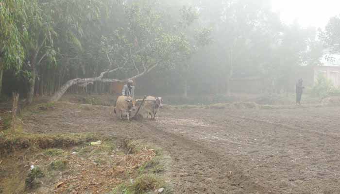 পঞ্চগড়ে চলতি সপ্তাহে শৈত্যপ্রবাহের আশঙ্কা