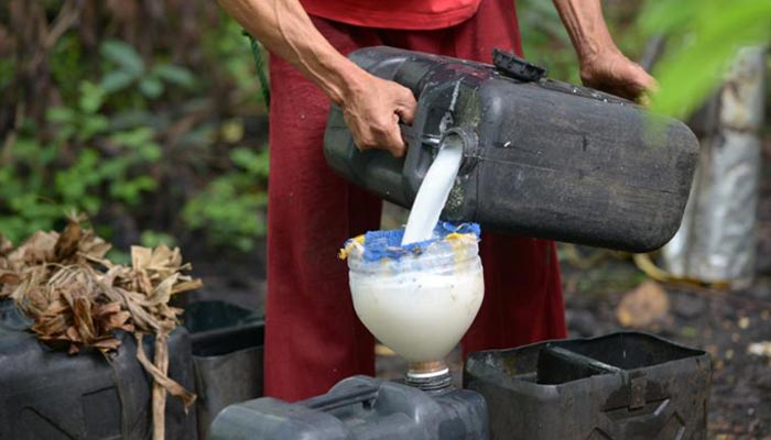 নারকেলের ওয়াইন পানে প্রাণ গেল ১১ জনের