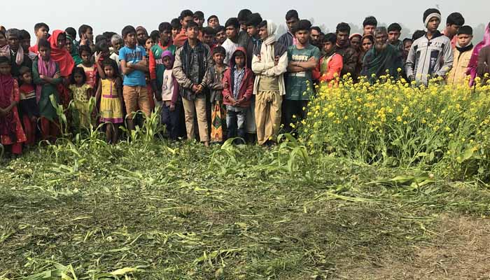 শাহজাদপুরে সরিষা ক্ষেতে কলেজছাত্রের মরদেহ