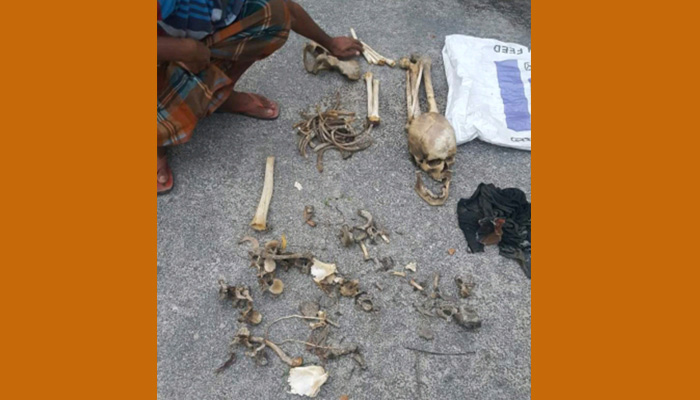 ড্রামে পেট্রোল ও লবণ দিয়ে ডুবিয়ে রাখা হয় সায়েমের খণ্ডিত লাশ