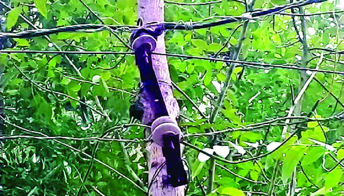 বিপজ্জনক!
