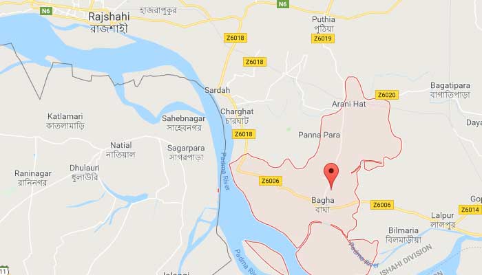 রাস্তা নির্মাণের জন্য উপড়ে ফেলা হলো দেড় শতাধিক গাছ