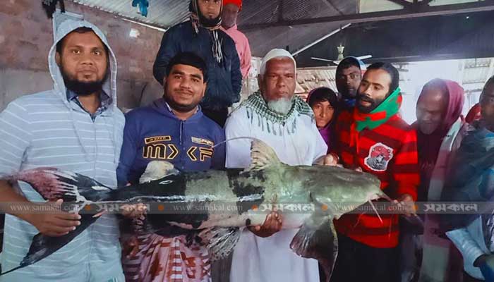 লালপুরে জেলের জালে ৪০ কেজি বাঘাইড়