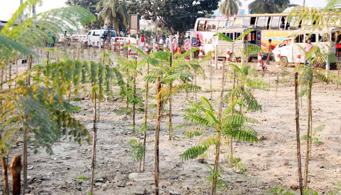 পাবনার অবৈধ বাজার এখন ফুলের বাগান