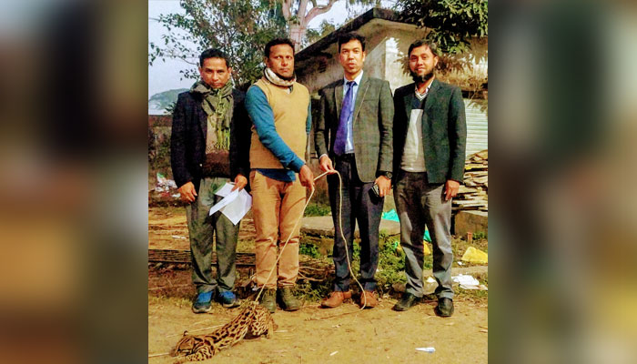 কলমাকান্দায় চিতাবাঘের সেই শাবক অবমুক্ত