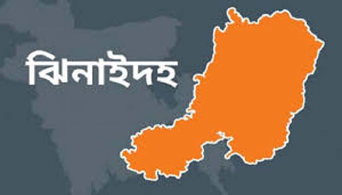 ঝিনাইদহে মাইক্রোবাসের ধাক্কায় প্রাণ গেল যুবকের
