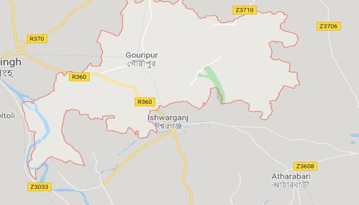 গৌরীপুরে বাসচাপায় অটোরিকশা যাত্রী নিহত
