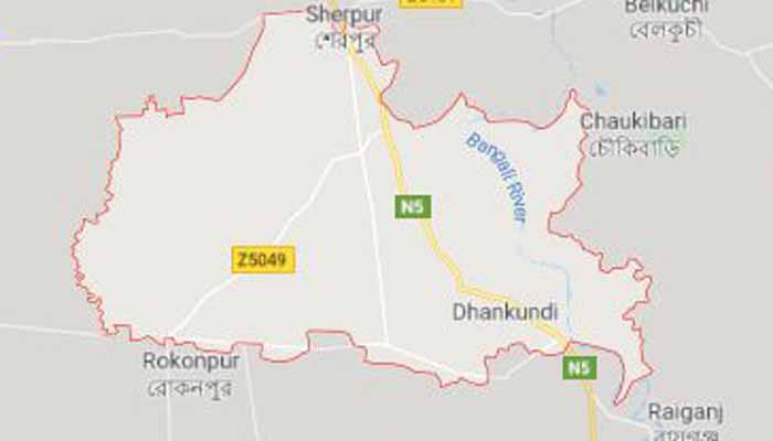 শেরপুরে আলু বোঝাই ট্রাকের চালক ও সহকারী নিহত