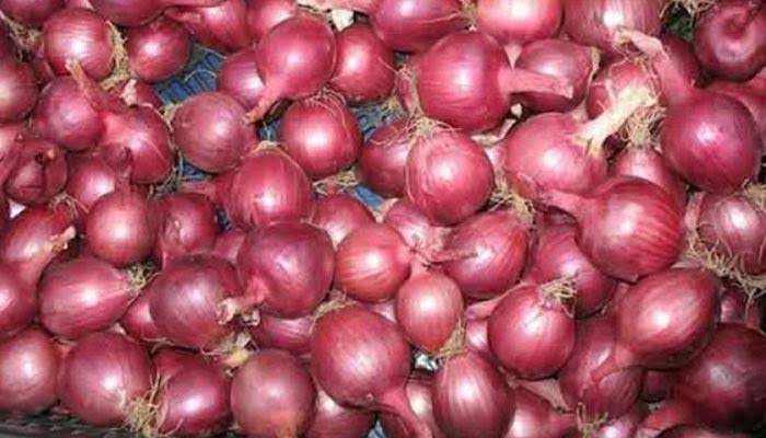 টেকনাফ স্থলবন্দরে পেঁয়াজ খালাসে রের্কড টেকনাফ স্থলবন্দরে পেঁয়াজ খালাসে রের্কড