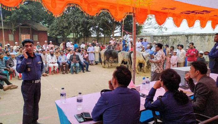 জব্দকৃত ৫০ ভারতীয় গরু সাড়ে ২৮ লাখ টাকায় বিক্রি