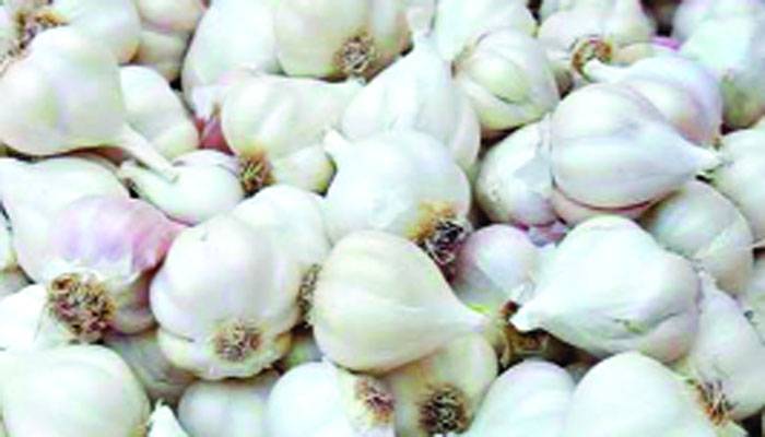 করোনার প্রভাব রসুনের দামে