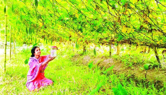 নারীবান্ধব বাজার সংকটে ভুগছে নানা উদ্যোগ