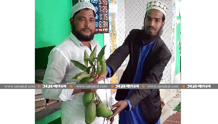 নিলামে এক হালি আম বিক্রি হলো ২৫০০০ টাকায়