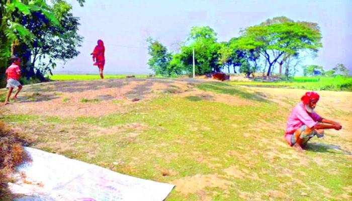 ফাঁকা মাঠে 'হাওয়া' ভবন