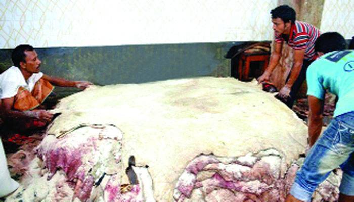 মহাসংকটে ট্যানারি