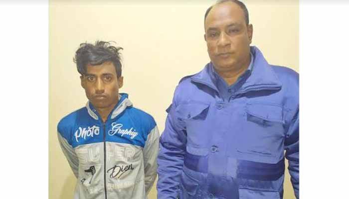 রামগতিতে ‘চোরাই’ গরুসহ আটক ১