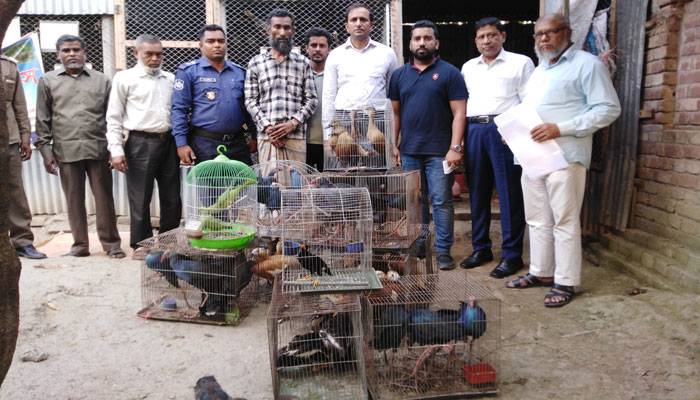 পাখিগুলো ফিরে পেল মুক্ত আকাশ, ব্যবসায়ী গেল জেলে