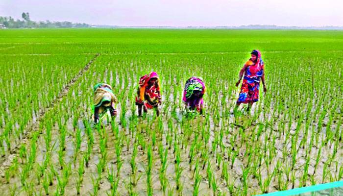 বৈষম্যের শিকার উপকূলীয় জনপদের নারীরা