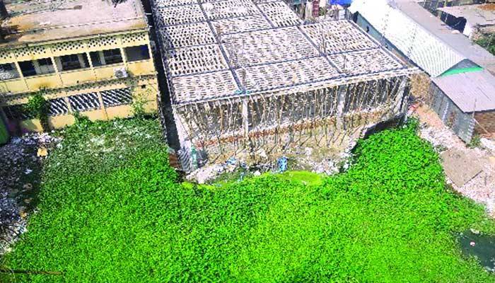 শতবর্ষী বিদ্যানিধি পুকুরে ভবন নির্মাণ চলছেই