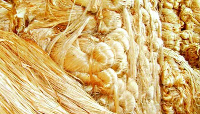 পাচার ও মজুদে বিপন্ন পাটশিল্প