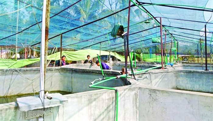 মহিবুল্লাহর হতাশা জয়ের গল্প