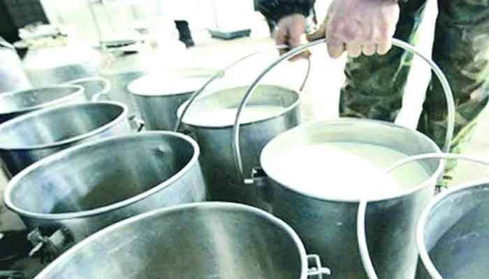 বেগুনের কেজি ৫ টাকা, দুধের লিটার ২০ টাকা
