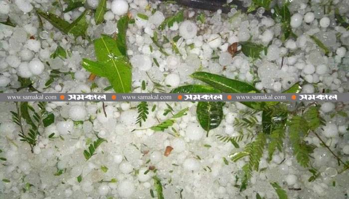 মাগুরায় শিলাবৃষ্টিতে ব্যাপক ক্ষয়ক্ষতি