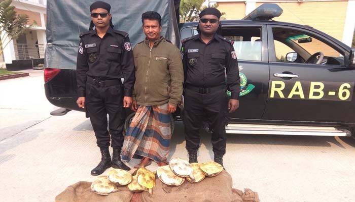 খুলনায় ৭৭ কচ্ছপসহ আটক পাচারকারী
