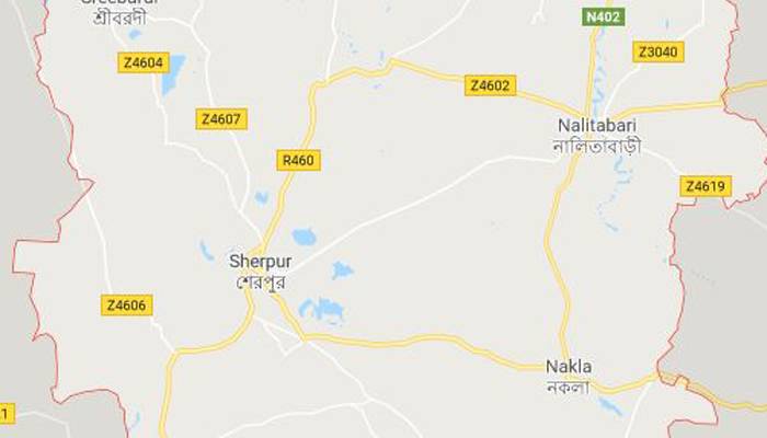 নালিতাবাড়ীতে শ্বাসকষ্টে বৃদ্ধের মৃত্যু