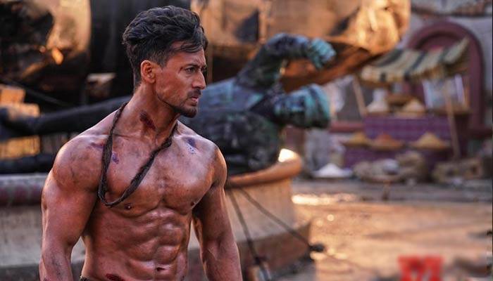 প্রতিশোধের নেশায় অন্য এক টাইগার