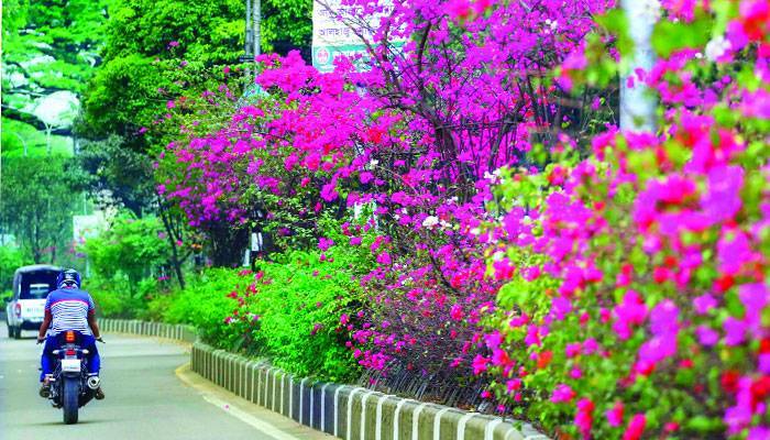 এখন ঘুম ভাঙে পাখির ডাকে