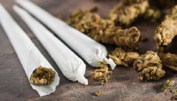 গাঁজাসেবীরা করোনায় আক্রান্ত হলে বাঁচার সম্ভাবনা কম